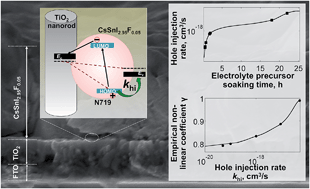 Graphical abstract: Device optimization of CsSnI2.95F0.05-based all-solid-state dye-sensitized solar cells with non-linear charge-carrier-density dependent photovoltaic behaviors