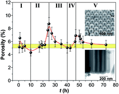 Graphical abstract: The cyclic nature of porosity in anodic TiO2 nanotube arrays
