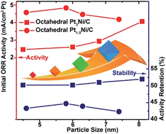 Graphical abstract: Size-dependent oxygen reduction property of octahedral Pt–Ni nanoparticle electrocatalysts