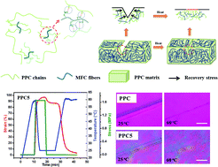 Graphical abstract: Microfibrillated cellulose-reinforced bio-based poly(propylene carbonate) with dual shape memory and self-healing properties