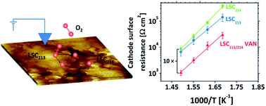 Graphical abstract: Vertically aligned nanocomposite La0.8Sr0.2CoO3/(La0.5Sr0.5)2CoO4 cathodes – electronic structure, surface chemistry and oxygen reduction kinetics