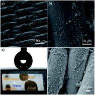 Graphical abstract: Mussel-inspired chemistry and Stöber method for highly stabilized water-in-oil emulsions separation