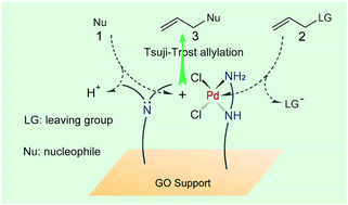 Graphical abstract: Combining palladium complex and organic amine on graphene oxide for promoted Tsuji–Trost allylation