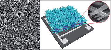 Graphical abstract: A simple all-solution approach to the synthesis of large ZnO nanorod networks