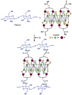 Graphical abstract: Development of pervaporation membranes using chitosan and titanium glycine-N,N-dimethylphosphonate for dehydration of isopropanol