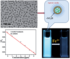 Graphical abstract: Surface charge tuning of functionalized silica cross-linked micellar nanoparticles encapsulating a donor–acceptor dye for Fe(iii) sensing