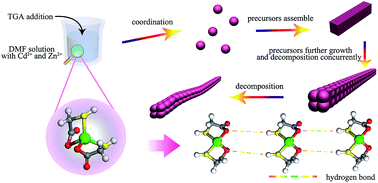 Graphical abstract: Preparation of 1D cubic Cd0.8Zn0.2S solid-solution nanowires using levelling effect of TGA and improved photocatalytic H2-production activity