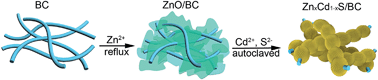 Graphical abstract: ZnxCd1−xS/bacterial cellulose bionanocomposite foams with hierarchical architecture and enhanced visible-light photocatalytic hydrogen production activity