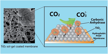 Graphical abstract: Preparation of titania based biocatalytic nanoparticles and membranes for CO2 conversion