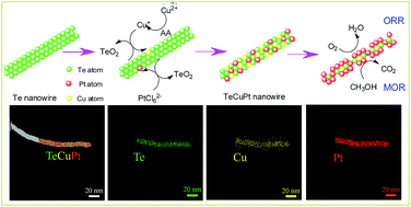 Graphical abstract: Te-template approach to fabricating ternary TeCuPt alloy nanowires with enhanced catalytic performance towards oxygen reduction reaction and methanol oxidation reaction