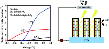 Graphical abstract: Preparation and enhanced photoelectrochemical performance of selenite-sensitized zinc oxide core/shell composite structure