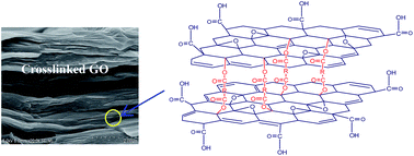 Graphical abstract: Covalently crosslinked graphene oxide membranes by esterification reactions for ions separation