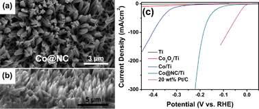 Graphical abstract: N-doped carbon-coated cobalt nanorod arrays supported on a titanium mesh as highly active electrocatalysts for the hydrogen evolution reaction