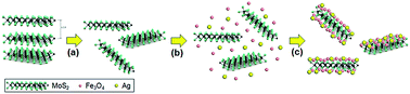 Graphical abstract: Delicate ternary heterostructures achieved by hierarchical co-assembly of Ag and Fe3O4 nanoparticles on MoS2 nanosheets: morphological and compositional synergy in reversible lithium storage