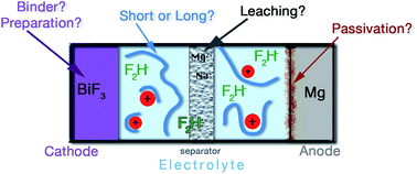 Graphical abstract: Parametric investigation of room-temperature fluoride-ion batteries: assessment of electrolytes, Mg-based anodes, and BiF3-cathodes