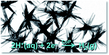 Graphical abstract: Highly branched cobalt phosphide nanostructures for hydrogen-evolution electrocatalysis