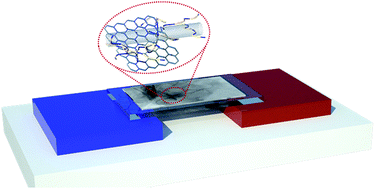 Graphical abstract: Effects of one- and two-dimensional carbon hybridization of PEDOT:PSS on the power factor of polymer thermoelectric energy conversion devices