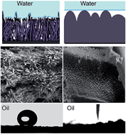 Graphical abstract: Underwater Wenzel and Cassie oleophobic behaviour