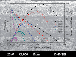 Graphical abstract: High performance ceria–bismuth bilayer electrolyte low temperature solid oxide fuel cells (LT-SOFCs) fabricated by combining co-pressing with drop-coating