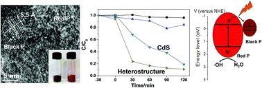 Graphical abstract: A black–red phosphorus heterostructure for efficient visible-light-driven photocatalysis