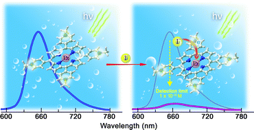 Graphical abstract: Photoinduced triplet-state electron transfer of platinum porphyrin: a one-step direct method for sensing iodide with an unprecedented detection limit