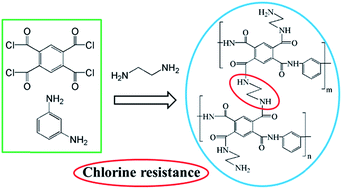 Graphical abstract: Novel diamine-modified composite nanofiltration membranes with chlorine resistance using monomers of 1,2,4,5-benzene tetracarbonyl chloride and m-phenylenediamine