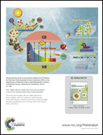 Graphical abstract: Back cover