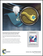 Graphical abstract: Back cover