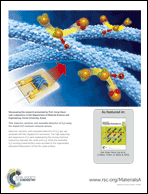 Graphical abstract: Inside back cover