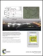 Graphical abstract: Back cover