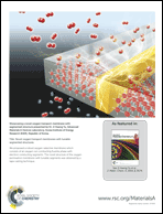 Graphical abstract: Back cover