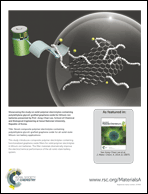 Graphical abstract: Inside back cover