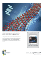 Graphical abstract: Back cover
