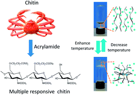 Graphical abstract: Tunable thermosensitive behavior of multiple responsive chitin