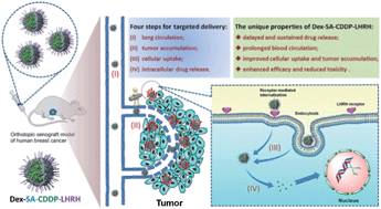 Graphical abstract: LHRH-peptide conjugated dextran nanoparticles for targeted delivery of cisplatin to breast cancer