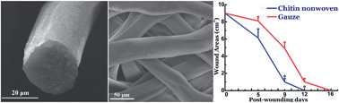 Graphical abstract: Novel fibers fabricated directly from chitin solution and their application as wound dressing