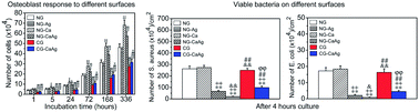 Graphical abstract: Enhanced osteoblast functions and bactericidal effect of Ca and Ag dual-ion implanted surface layers on nanograined titanium alloys