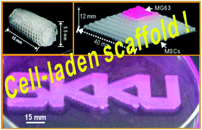 Graphical abstract: A direct cell printing supplemented with low-temperature processing method for obtaining highly porous three-dimensional cell-laden scaffolds