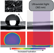 Graphical abstract: Photoactive electrospun polymeric meshes: spatiotemporally wetting of textured 3-dimensional structures