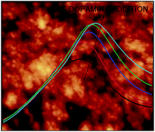 Graphical abstract: Dopamine amperometric detection at a ferrocene clicked PEDOT:PSS coated electrode