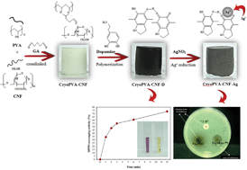 Graphical abstract: A chitin nanofibril reinforced multifunctional monolith poly(vinyl alcohol) cryogel