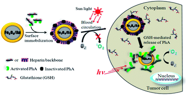 Graphical abstract: A photosensitizer-conjugated magnetic iron oxide/gold hybrid nanoparticle as an activatable platform for photodynamic cancer therapy