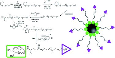 Graphical abstract: A versatile stable platform for multifunctional applications: synthesis of a nitroDOPA–PEO–alkyne scaffold for iron oxide nanoparticles