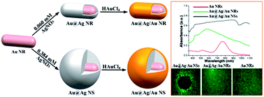 Graphical abstract: Gold nanorod-seeded synthesis of Au@Ag/Au nanospheres with broad and intense near-infrared absorption for photothermal cancer therapy