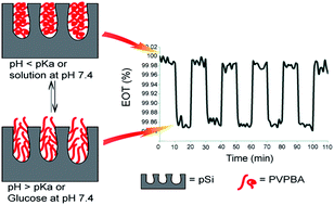 Graphical abstract: A photonic glucose biosensor for chronic wound prognostics