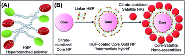 Graphical abstract: Self assembly of plasmonic core–satellite nano-assemblies mediated by hyperbranched polymer linkers