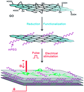 Graphical abstract: Synthesis of amphiphilic reduced graphene oxide with an enhanced charge injection capacity for electrical stimulation of neural cells