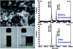 Graphical abstract: Low temperature preparation of a graphene–cobalt microsphere hybrid by borohydride-initiated reduction for enriching proteins and peptides