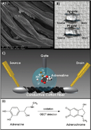 Graphical abstract: Human stress monitoring through an organic cotton-fiber biosensor