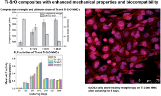 Graphical abstract: Ti–SrO metal matrix composites for bone implant materials